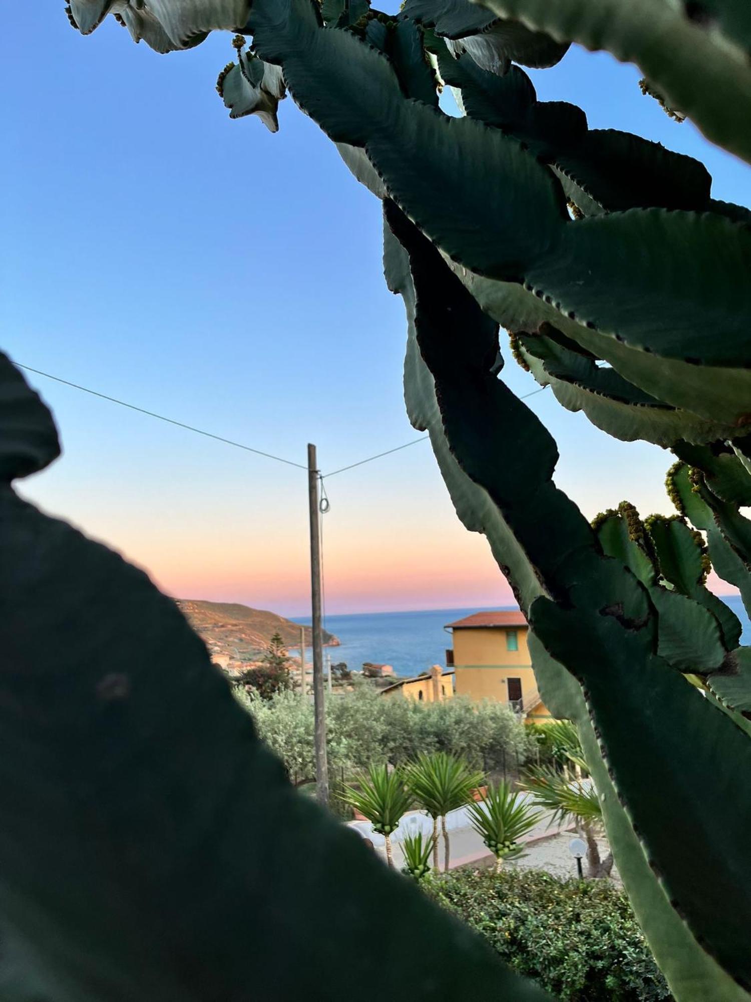Falco In Pietra 帕尔马迪蒙泰基亚罗 外观 照片